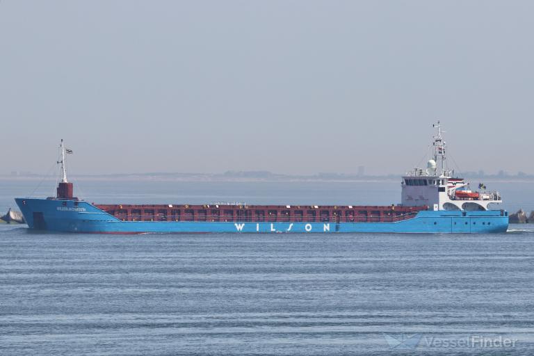 WILSON AVONMOUTH