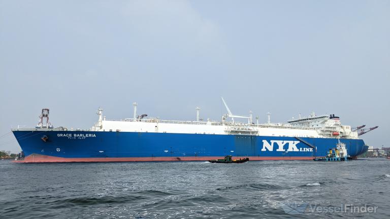 GRACE BARLERIA photo