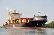 MSC-MATTINA