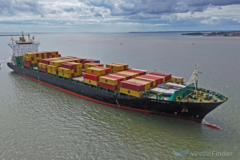 MSC SPRING III photo