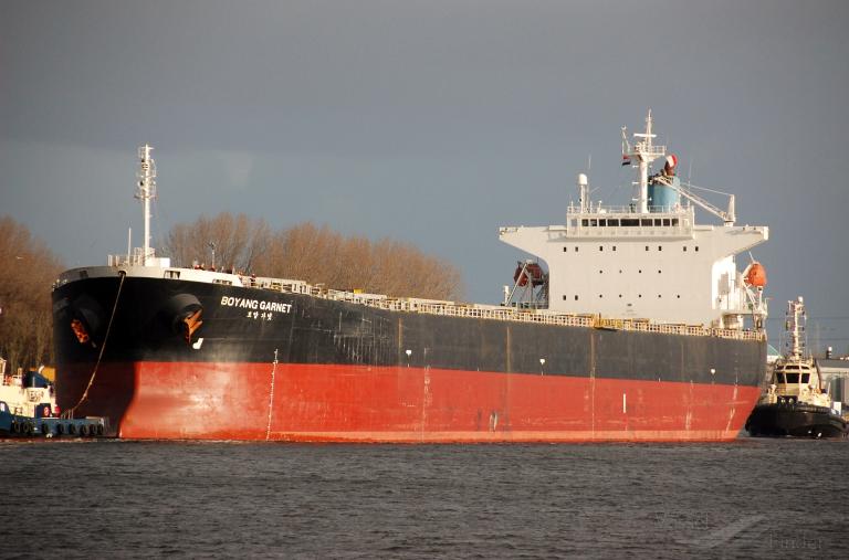 HOANH SON GLOBAL photo