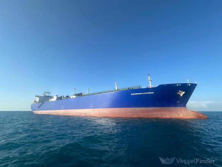 OCEANIC VENUS photo