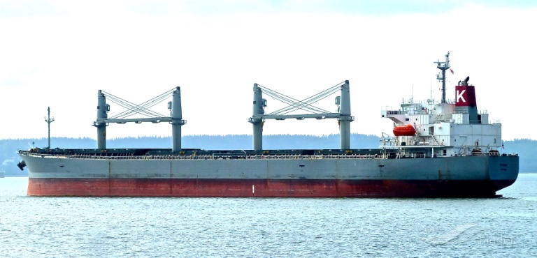 SUZAKU, Bulk Carrier - Details and current position - IMO 9317377 -  VesselFinder