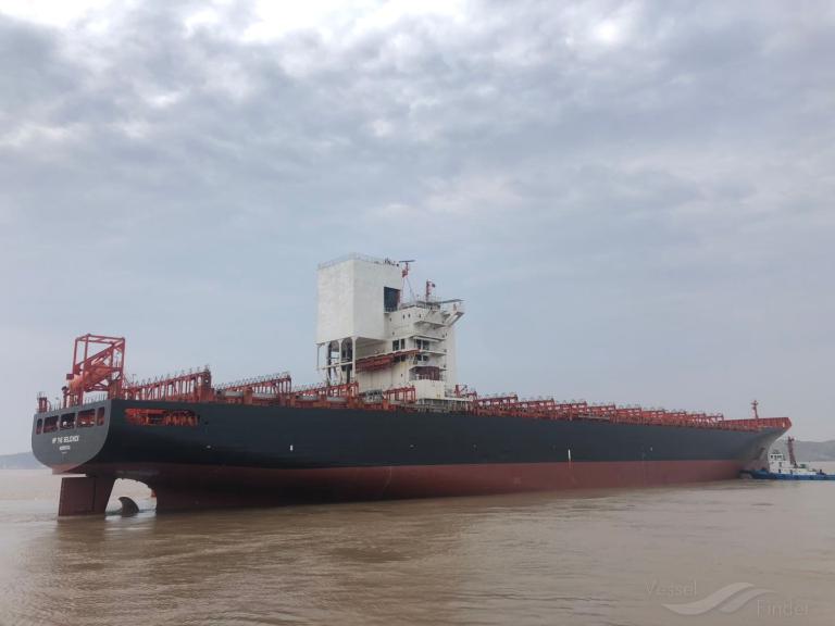 MSC TAMPICO V photo