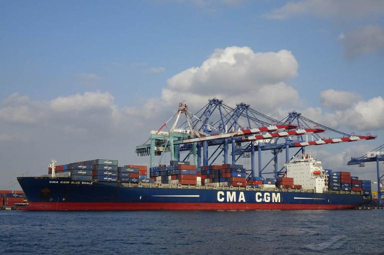 CMA CGM BLUE WHALE photo