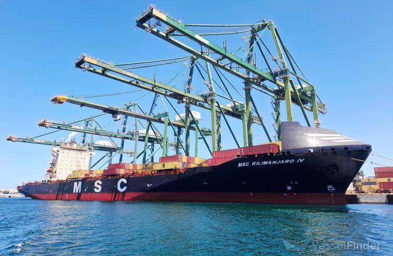 MSC KILIMANJARO IV photo