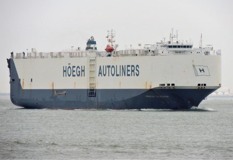 JIUYANG BLOSSOM photo