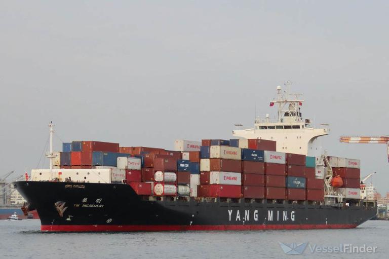 YM INCREMENT photo