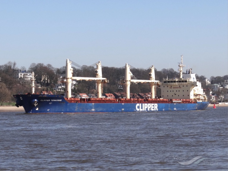 AN HAI VINCENT photo