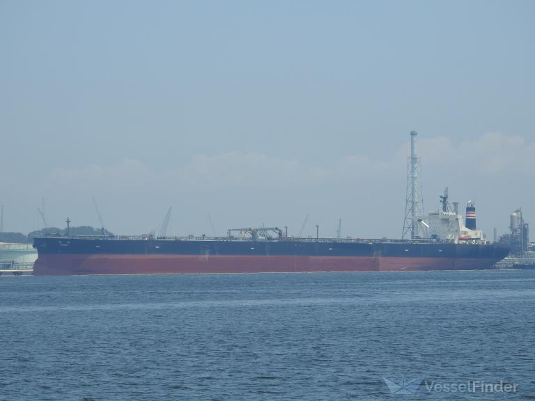 ALRAYA photo