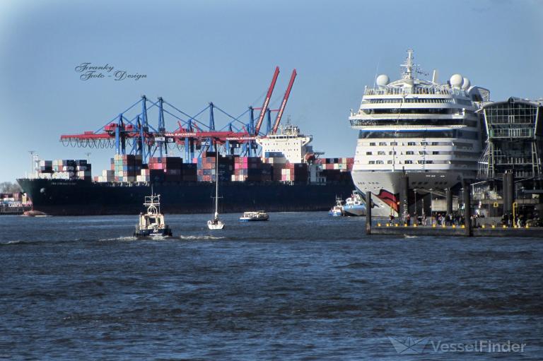 CECCM5MQNTA RAY photo