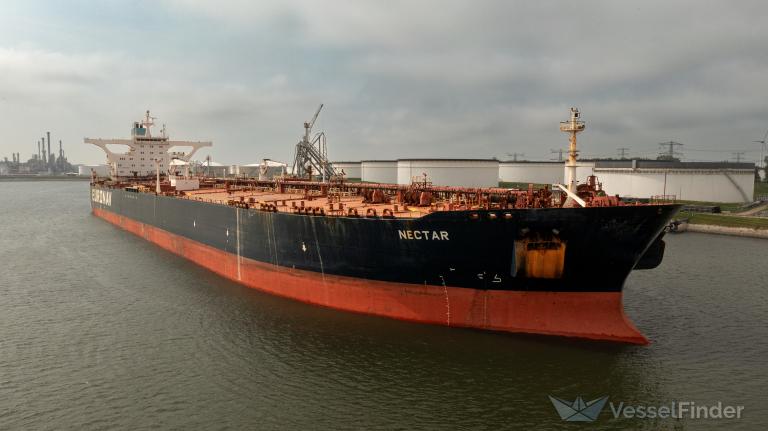 PLATA SINGAPORE photo