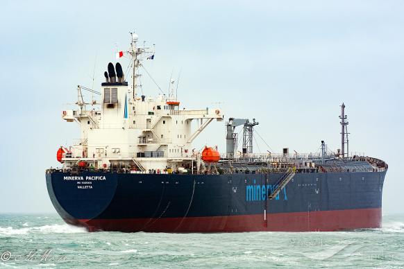 MINERVA PACIFICA photo