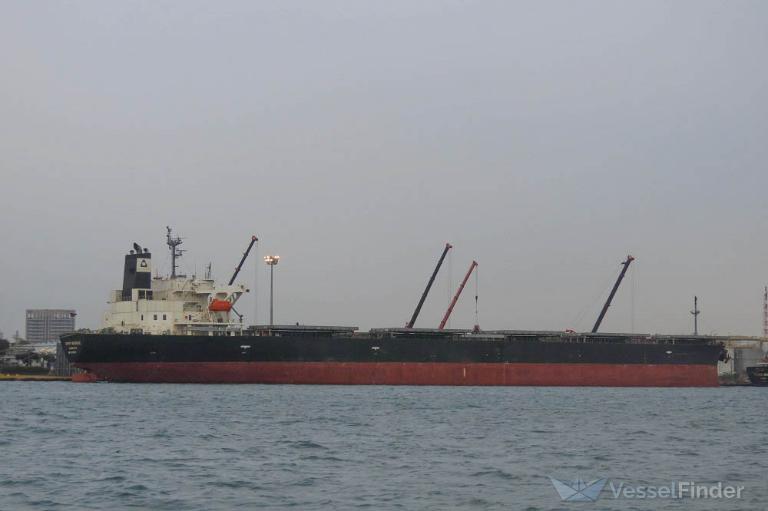 great-w-bulk-carrier-imo-9326299