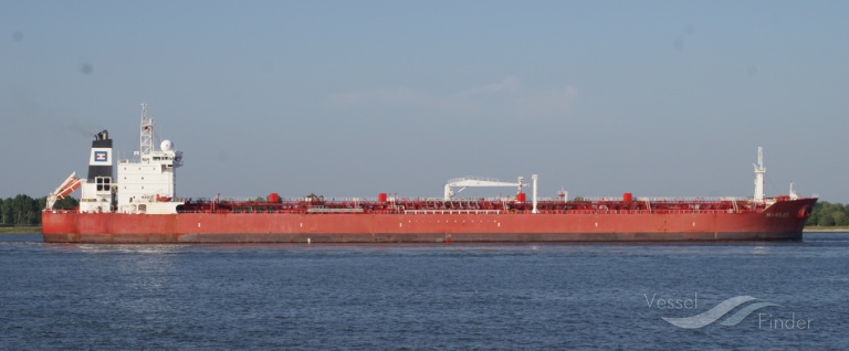 DUKE OF PEACE photo
