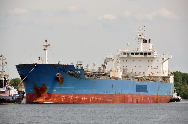 CHAMPION ARCTIC photo