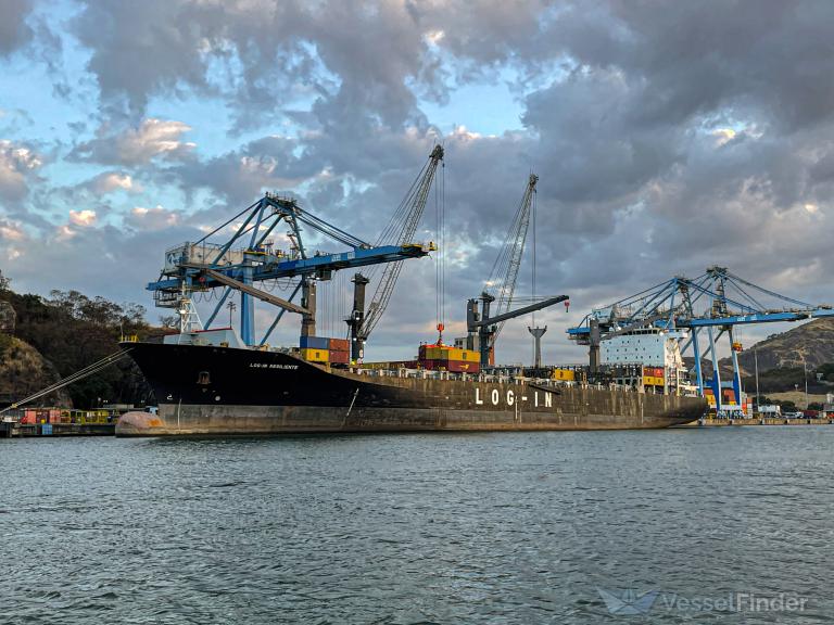 LOG-IN RESILIENTE photo