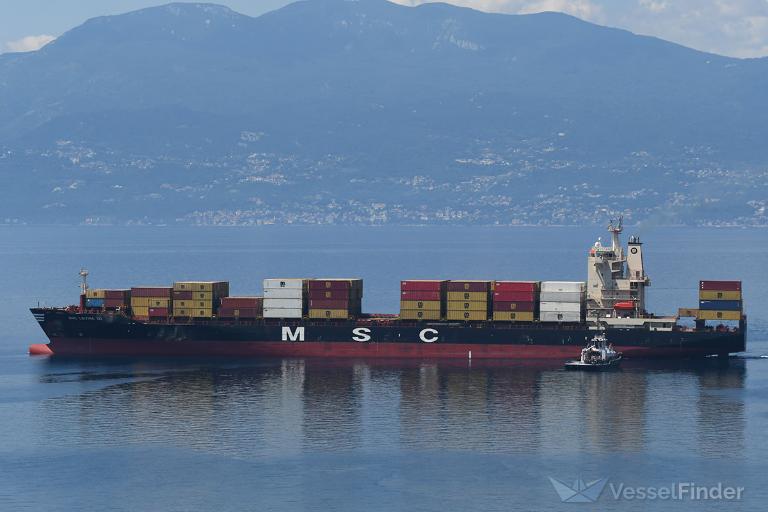 MSC LEVINA III