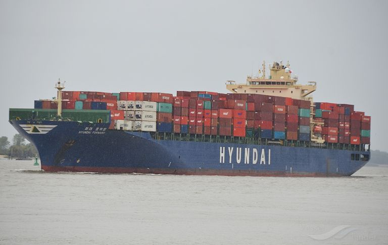 HYUNDAI FORWARD photo
