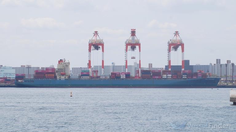 MOL EXPLORER