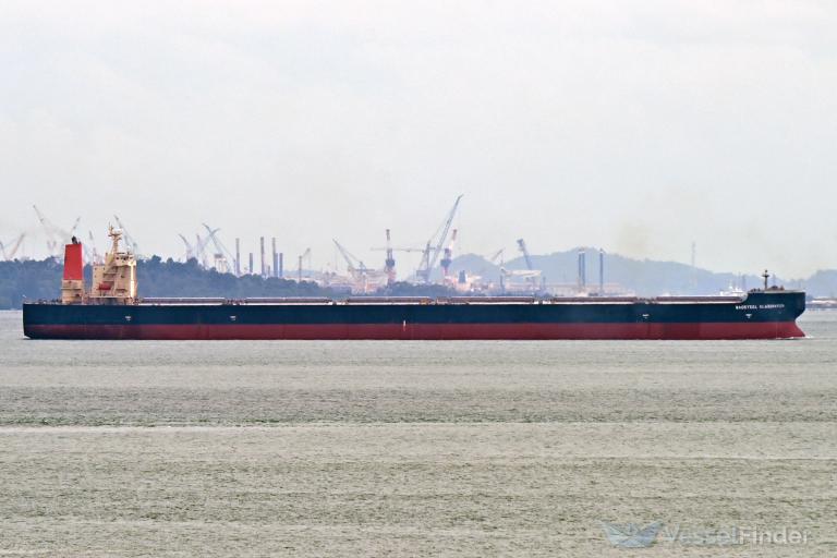 BAOSTEEL ELABORATION photo