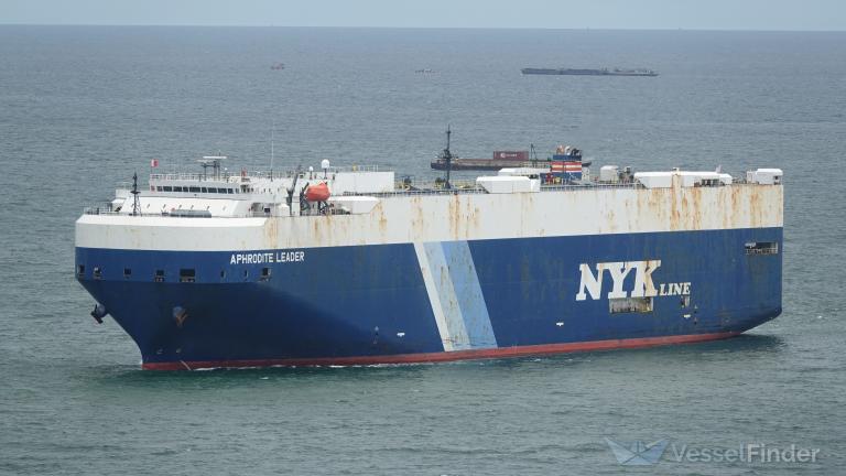 APHRODITE LEADER photo