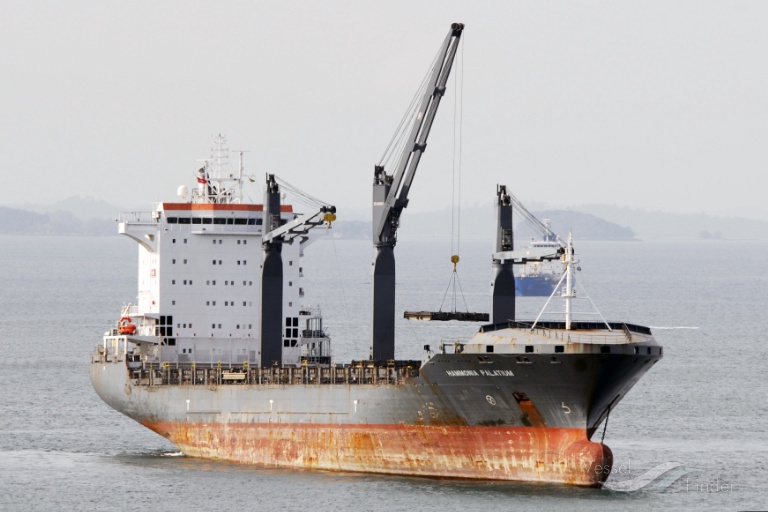 MSC PALATIUM III photo