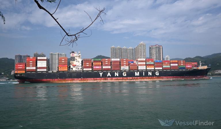 YM UTILITY photo