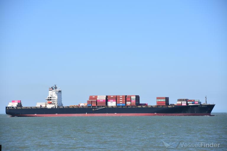 NYK NEBULA