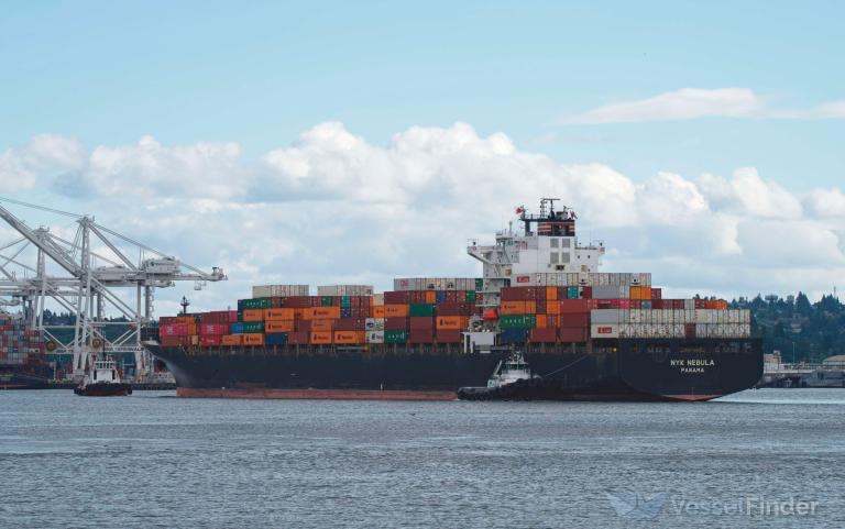 NYK NEBULA