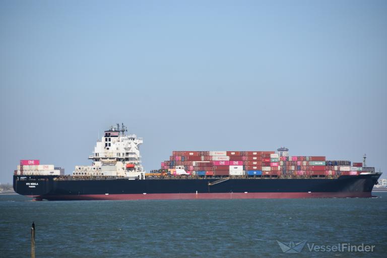 NYK NEBULA