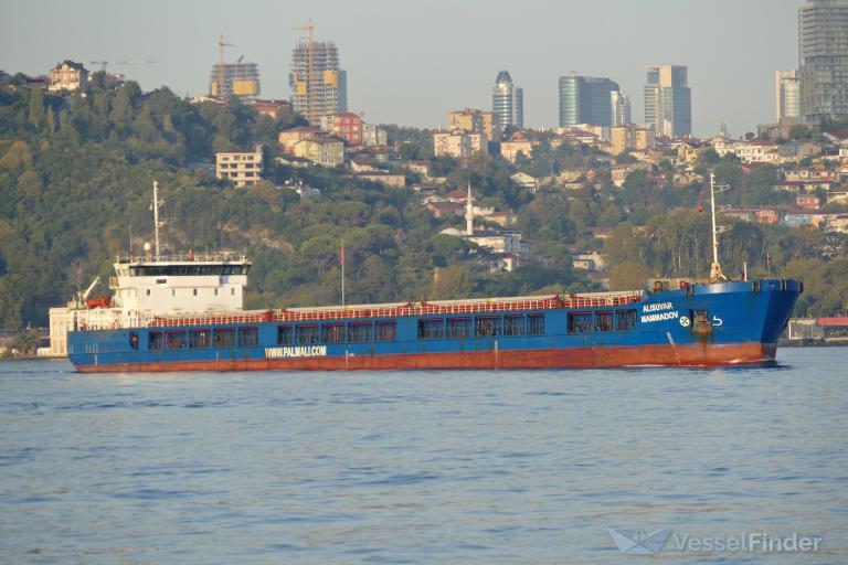 ALISUVAR MAMMADOV photo