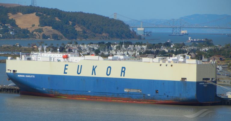 MORNING CHARLOTTE photo