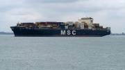 MSC-ASYA