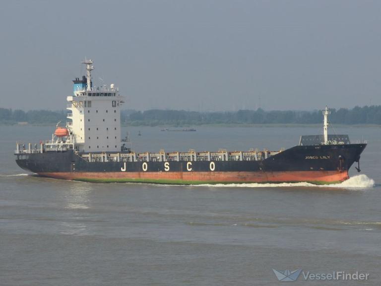 JIANG YUAN YUAN DA photo