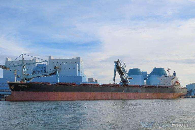 BULK NUSANTARA photo