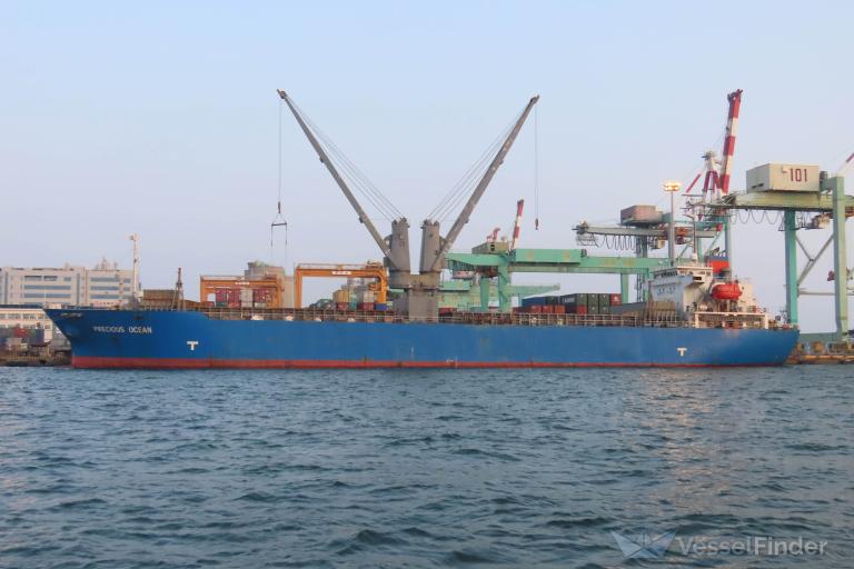 PRECIOUS OCEAN photo