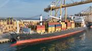 MSC-DELHI-II