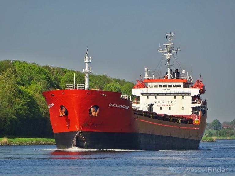 GEMINI MAESTRO photo