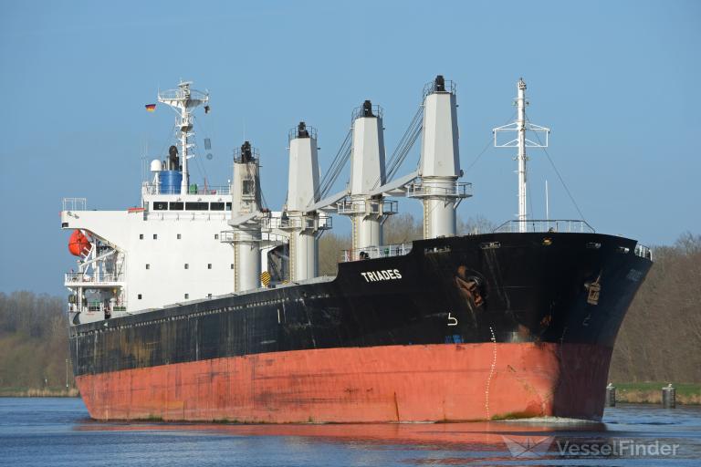 VLADIMIR SHILKOV photo