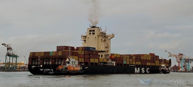 MSC TAMARA IV