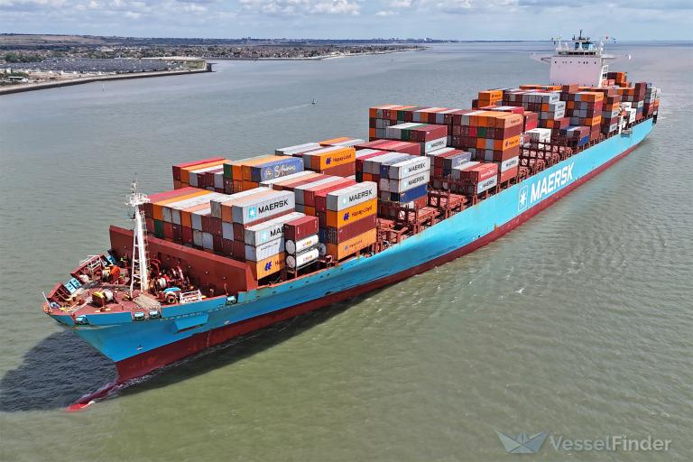 MAERSK SAVANNAH photo