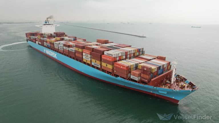 MAERSK SAVANNAH photo