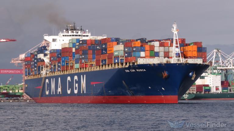CMA CGM MUSCA photo