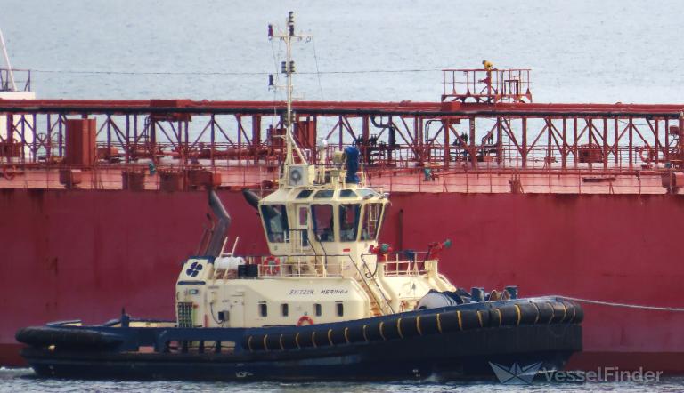 SVITZER MERINGA photo
