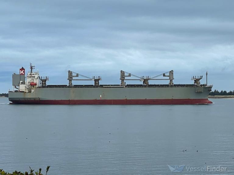 FOREST HARMONY photo