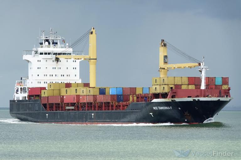 MSC TAMISHKA F