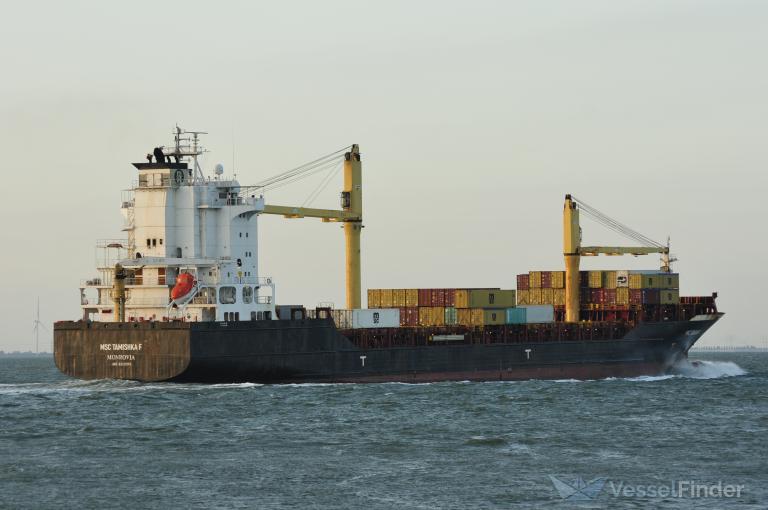 MSC TAMISHKA F