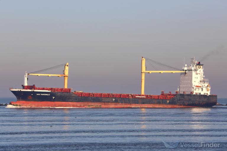 MSC TAMISHKA F