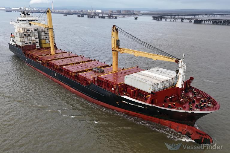 MSC TAMISHKA F photo